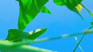 Nature of Punjab Pakistan