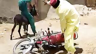 Petrol Price