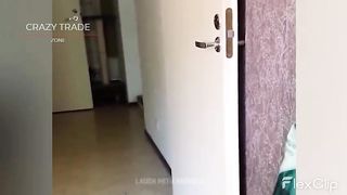 Crazy Cats||Funny Cats||Cutes Cats