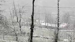 Snowfall view
