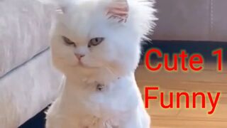 You Definitely Laugh_ I Believe In It  - Funniest Videos -- Best Part7
