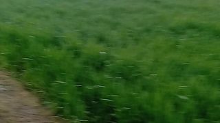 Morning Walk | Cool Weather  | Greenery |