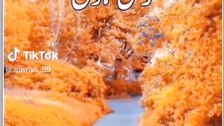 Jo taklif mein hai