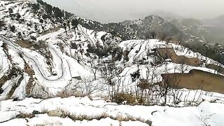 Snow ❄️ fall