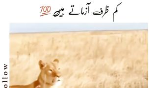 Kamzoor per zulm kam zarf log krty ha
