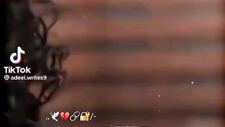 The best TikTok videos 2021