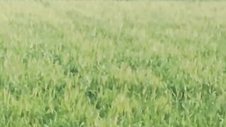 Natura video of village