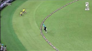 Cricket fans