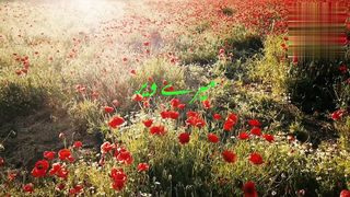 Mery Weranay min bahar i hy