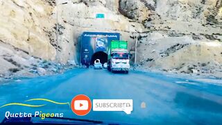 Quetta Pigeons | Show Match From Mangochar 90km To  Quetta | 1100 Birds Released