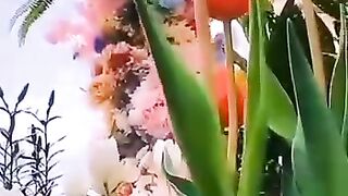 subah ka aghaz tilwate quran pak se kray beautiful seen k sath beautiful awaz k sath