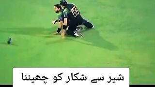 Umar Gul and Shahid Afridi feeling