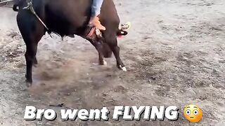 BRO WENT FLYING ????