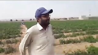 About Drip Irrigation System in Supervision Collecting Best Interview Muhammad Javed Arain