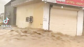 Jedda sudia