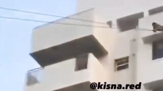 Funny video clips