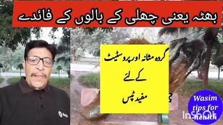 Bhutte ke Fayde in urdu