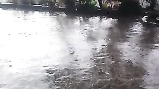Beautifull seen
