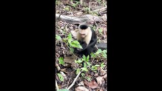 Relaxing sound with Nature