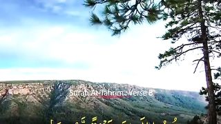 Quran Recitation beautiful voice touches to the heart