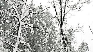 Snowfall In kashmir