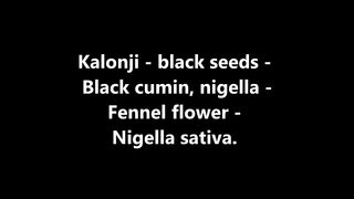 kalonji l How to Grow Nigella Seeds l black seeds harvest l Black Seeds Benefits l jcp with ashraf