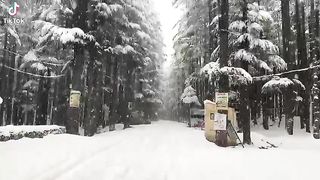 SnowFall Pakistan At Malam Jabba