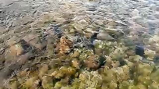 Stream water sounds | Fresh water shot | Amazing Nature | Stress relief Environment
