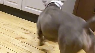 Mom is playing with her son.