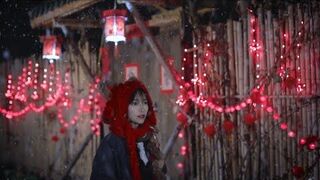 Chinese New Year’s decorations, goods and snacks