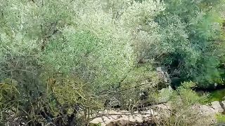 Amazing place view