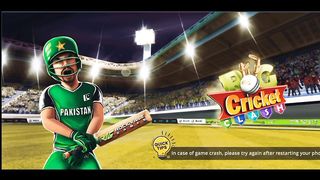 RVG CRICKET GAME 3D
