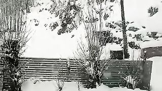 Snowfall in kashmir