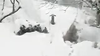 Snowfall in kashmir