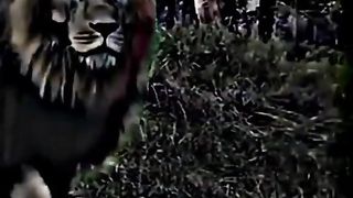 Poetry video