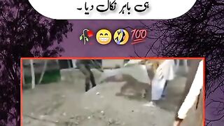 punjab police zinda bad