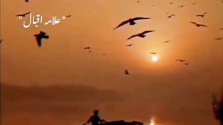 Most Amazing Urdu Quotes #youtubeshorts #youtube #ytshorts #TSeriesislamic