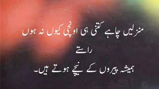 Beutiful lines...