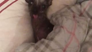 Don't wake me up I want to sleep.