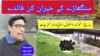 Singharay ke Fayde in urdu