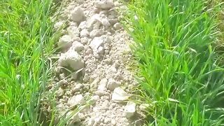 My agriculture beautiful natural beauty Pakistan