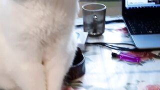 Who he sees.