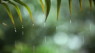 You & Me Relaxing Piano Music & Soft Rain Sounds For Sleep & Relaxation