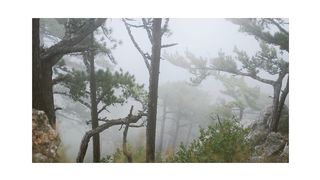 Thunder Sound nature relaxing video