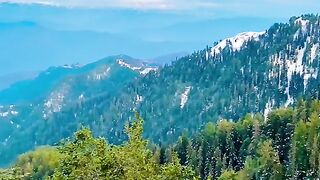 Kashmir