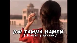 Hai_tamna_hamen_tumhe_Dulhan_banye___slowed_reverb_song__(720p).