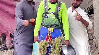 Cricket funny video