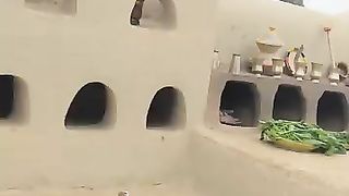 Village style in urban Areas very interesting video 2023