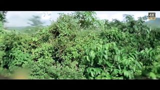 Kai Din Se Mujhe (Revival)  Ankhiyon  Ke  Jharokhon Se 1978