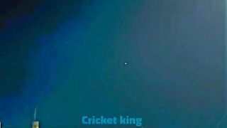 Cricket king